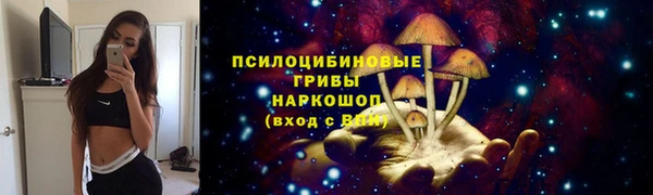 гидропоника Бородино