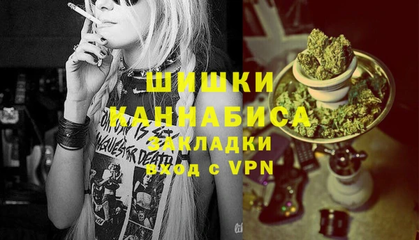 гидропоника Бородино