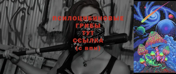 гидропоника Бородино