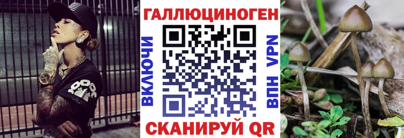 Псилоцибиновые грибы ЛСД  Купить где  Гвардейск 